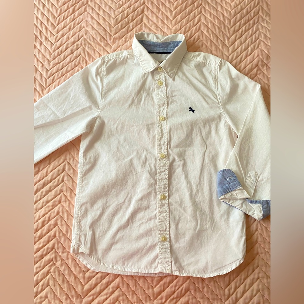Shirts